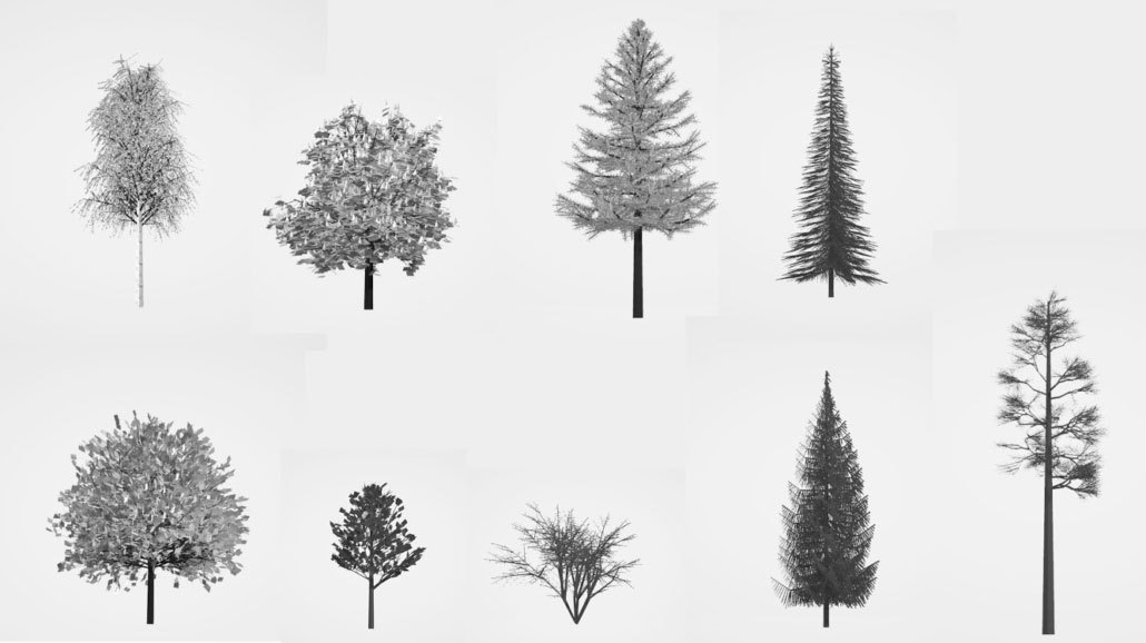 Green Pixel's graphic: monochrome trees on an empty background.