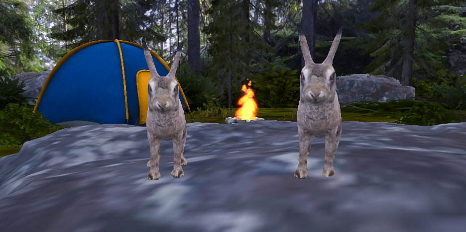HXRC Team:  Encapsulating the Magic of Finnish Nature within VR